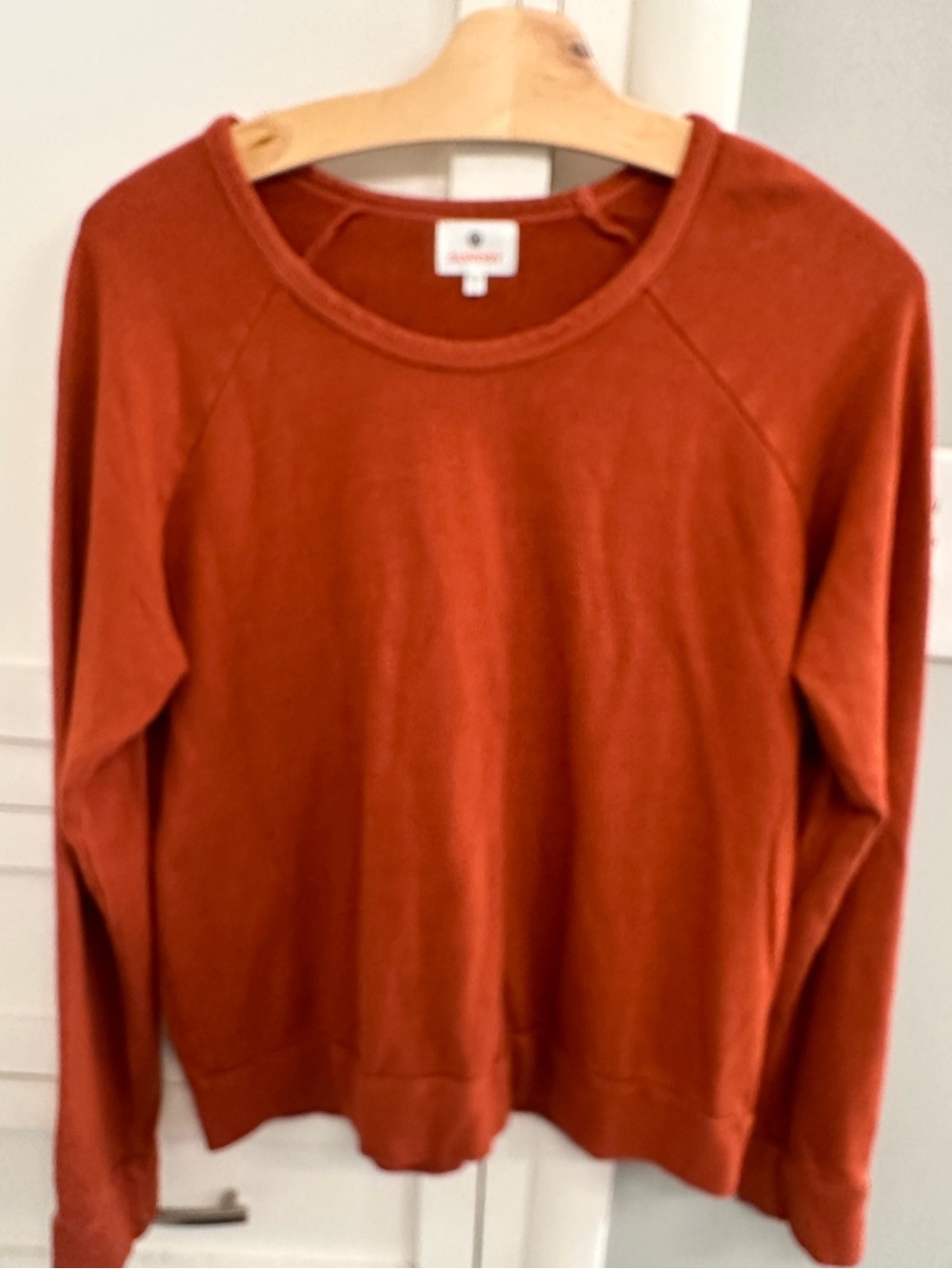 Sundry Sweatshirt Womens 2 Medium Rust Cropped Crewneck 100% Cotton USA Orange